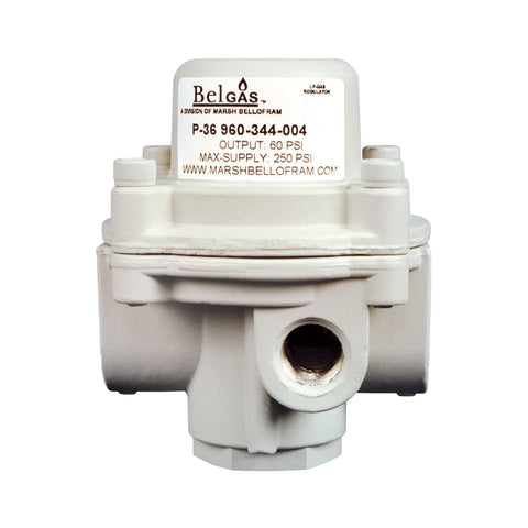 P36 Preset Gas Pressure Regulator