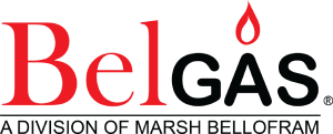 BelGAS