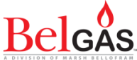 BelGAS